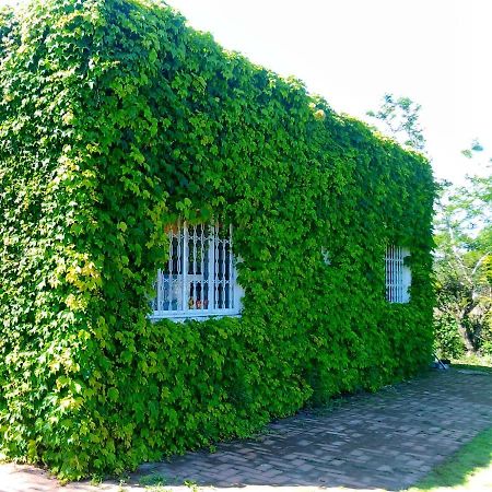 Sitio Sapiranga Apartment ภายนอก รูปภาพ