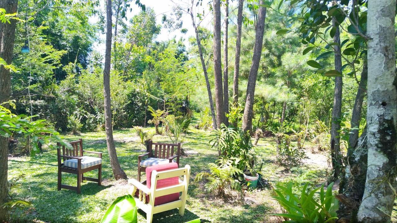 Sitio Sapiranga Apartment ภายนอก รูปภาพ
